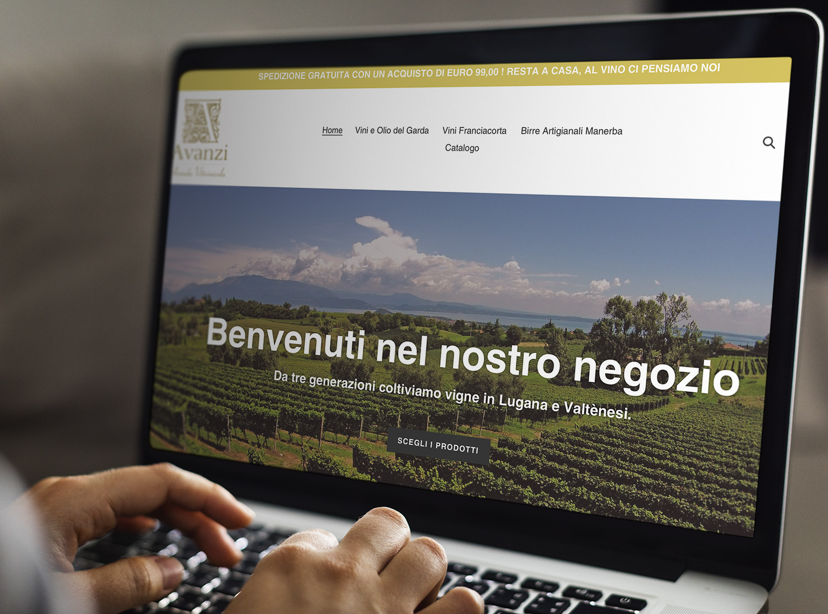 Vendita online vini Franciacorta